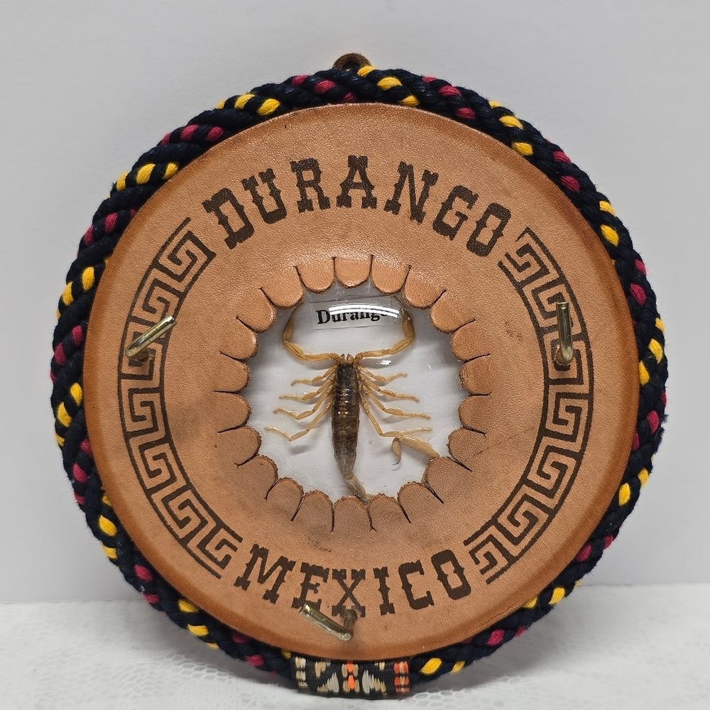 Durango Mexican Taxidermy Scorpion Leather Wall Keys Holder Organizer Folk Art